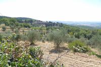 Toscana - Fotostopp