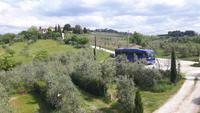 Weingut 