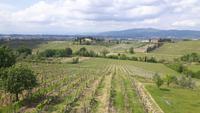 Weingut 