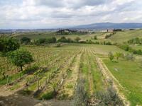 Weingut 