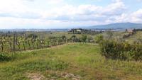 Weingut 