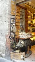 in San Gimignano 
