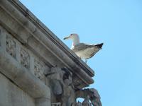 Überwachungsexperte...