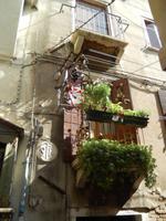 Es grünt so grün... auf den Balkonen