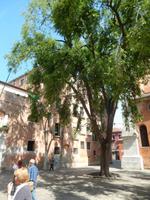 Das Grün findet immer einen Platz. Auch zwischen den Steinen des Platzes