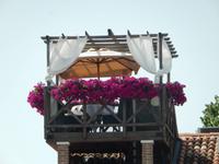 ...denn wenn ihre Männer nach einem Gelage nach Hause kamen...