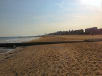 Wie wird es hier in einigen Wochen aussehen?