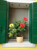 Burano_Impress._6