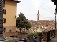  Blick auf Siena
