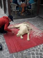  Ferrara: Sandplastik