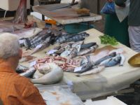  Fischmarkt in Catania