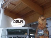  Schnitzerei  Dolfi