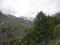 ... Blick voraus