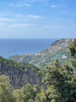... auf Ravello ...