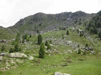 ... die Vegetation wird weniger