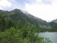 ... und noch einer