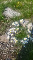 018 – Italien, Trentino, Commezzadura, Wanderung