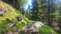 027 – Italien, Trentino, Commezzadura, Wanderung
