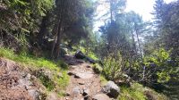 029 – Italien, Trentino, Commezzadura, Wanderung
