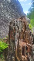034 – Italien, Trentino, Commezzadura, Wanderung