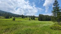 039 – Italien, Trentino, Commezzadura, Wanderung