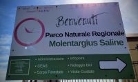 0501 Molentargius  Regionalpark