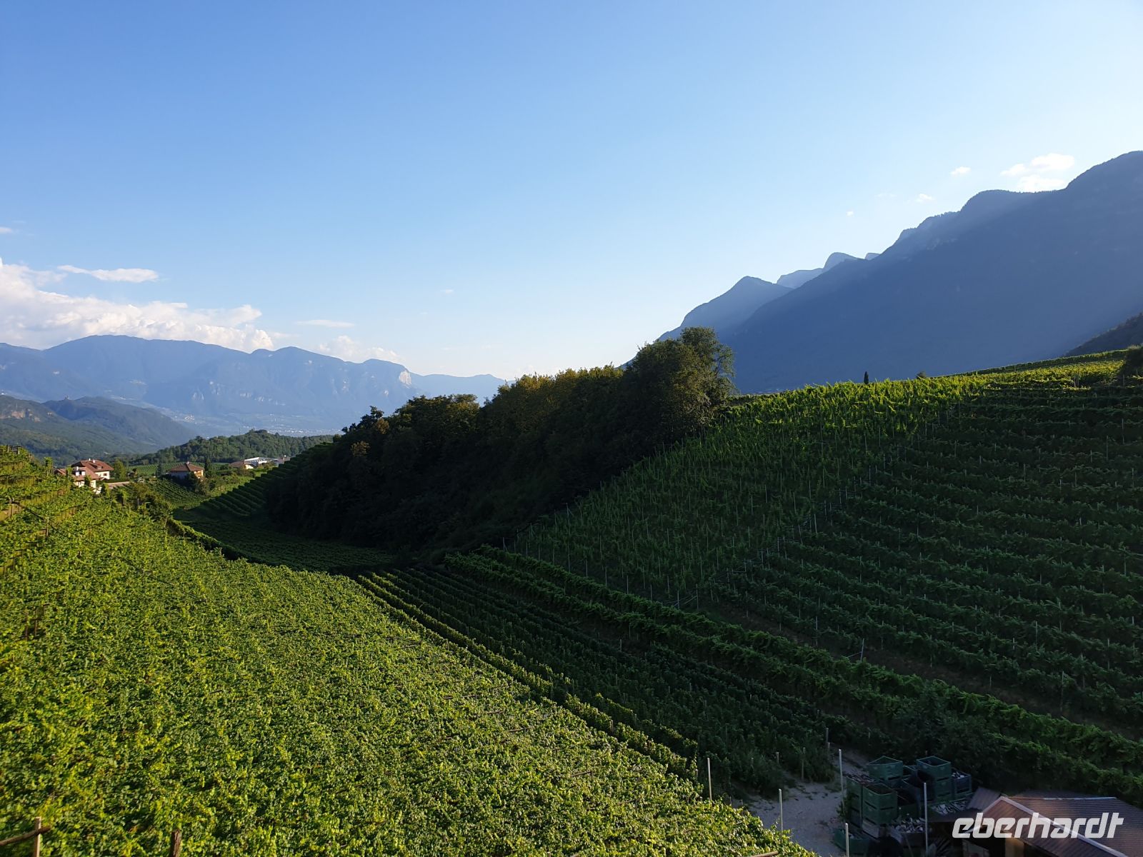 0507 Weinprobe