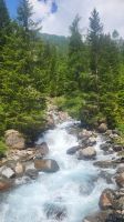061 – Italien, Trentino, Rabbi Tal, Wanderung
