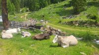 066 – Italien, Trentino, Rabbi Tal, Wanderung