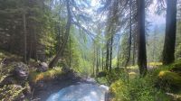 072 – Italien, Trentino, Rabbi Tal, Wanderung