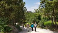 092 Wanderung nach Buonconvento