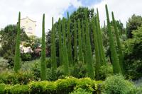 Das Schloss von unten