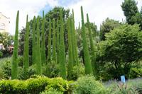 Das Schloss und die Pflanzen