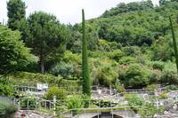 Die Pflanzen des Gartens