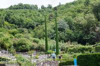 Die Pflanzen des Gartens