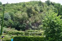 Die Pflanzen des Gartens