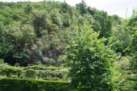 Die Pflanzen des Gartens