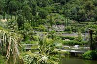 Der Teich, der Hang, die bPflanzen