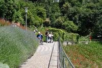 Der Weg im Schloss Trauttmannsdorff