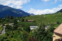 Der Blick vom Schloss in die Berge