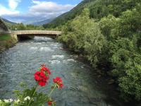 002 Fluss Noce im Val di Sole