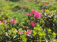 008 Wanderung zum Lago delle Malghette