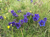 015 Wanderung zum Lago delle Malghette