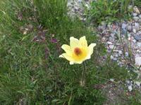 016 Wanderung zum Lago delle Malghette