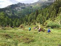 025 Wanderung zum Lago delle Malghette
