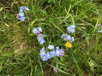 027 Wanderung zum Lago delle Malghette