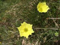 029 Wanderung zum Lago delle Malghette