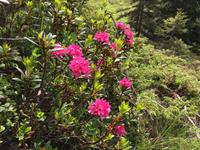 030 Wanderung zum Lago delle Malghette