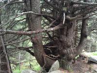 032 Wanderung zum Lago delle Malghette