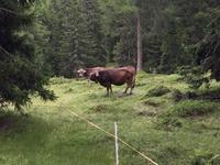 048 Wanderung zum Lago delle Malghette